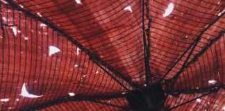 Po co się ubezpieczać?