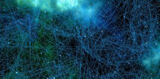 Czy szare komórki się Odnawiają po alkoholu?