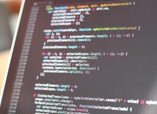 Na czym polega proces adaptacyjny?