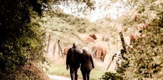 Czy praca na emeryturze ma wpływ na wysokość emerytury?