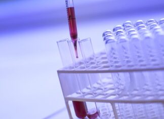 Co to znaczy słowo ekranizacja?