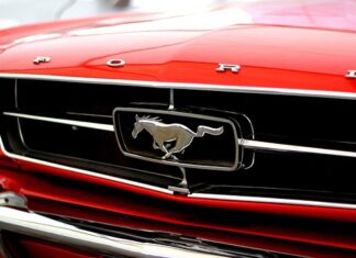 Jak zrobić auto prezentację?