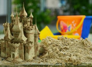 Co to jest zdolność adaptacji?