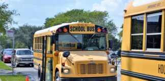 Czy korepetycje są zwolnione z podatku?